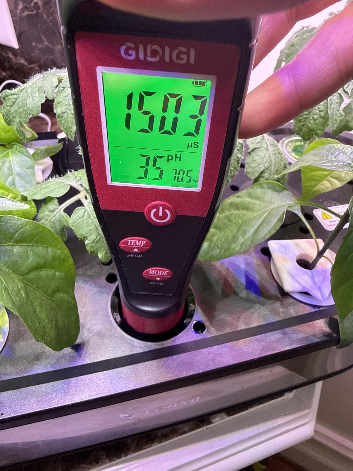 Digital pH Tester for Water, pH Meter for Hydroponic Water customer photo 2