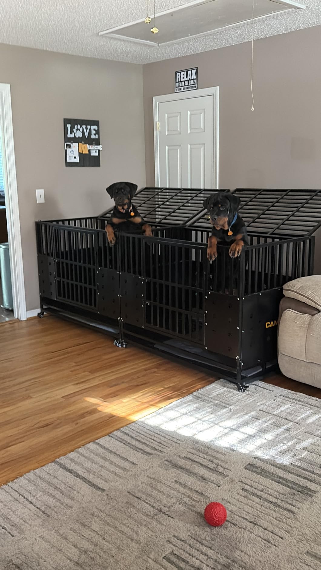 Cammoo 48'' Heavy Duty Dog Crate/Kennel for Large Dogs Indoor, Black customer photo 1