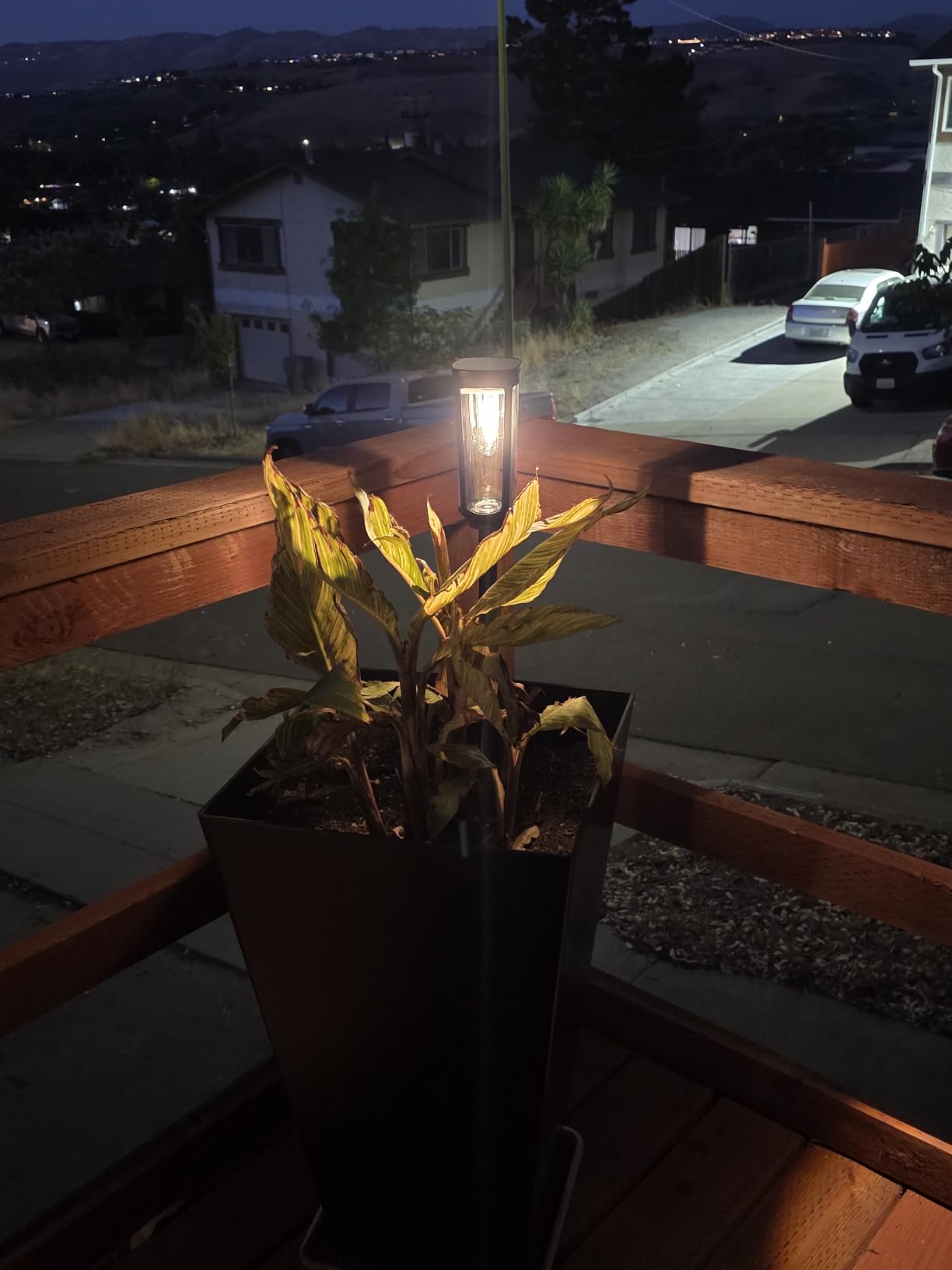 JEJOT Solar Pathway Lights Outdoor Waterproof, 8 Pack Solar Walkway Lights customer photo 1