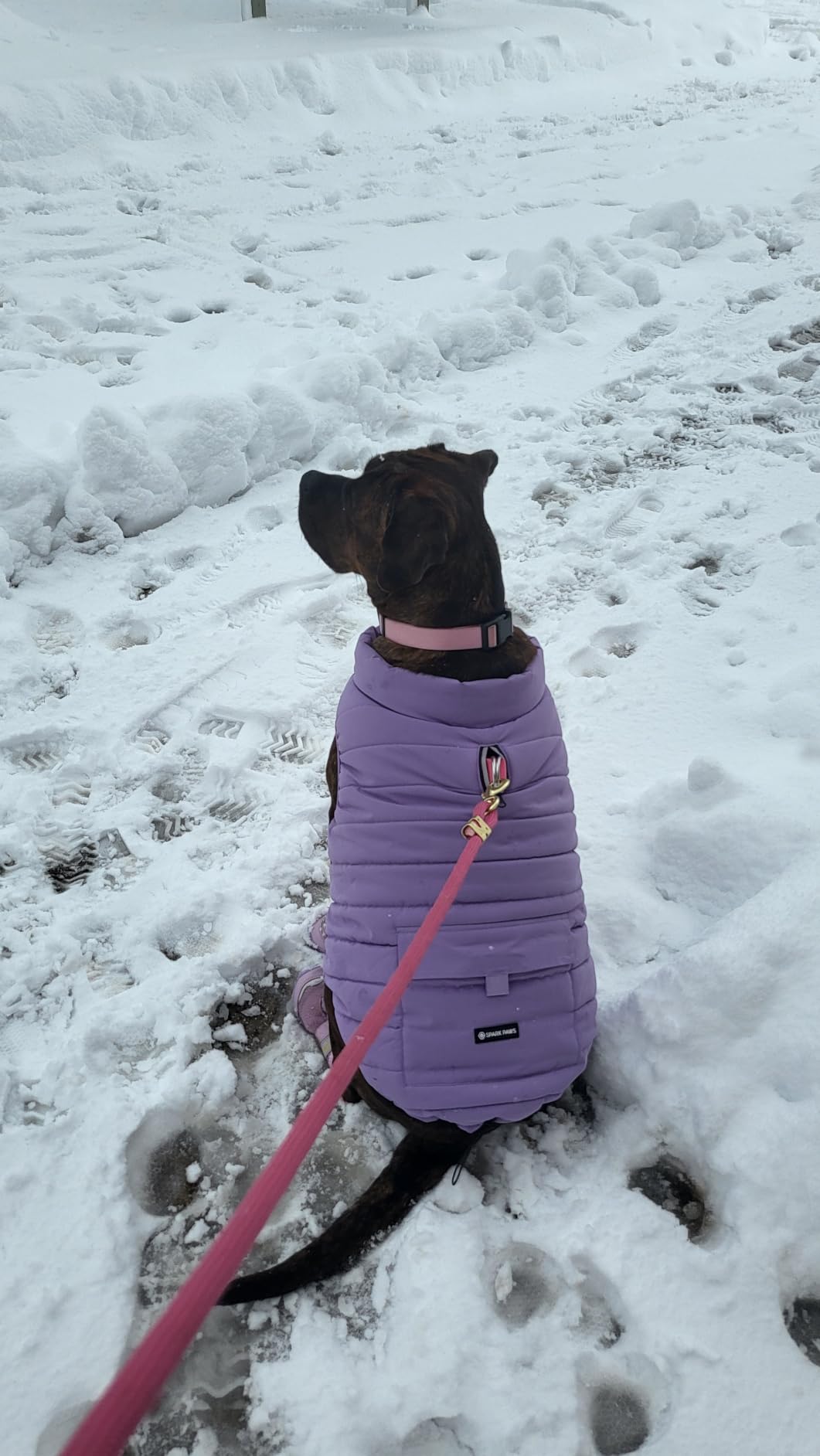 Spark Paws Dog Winter Coat Jacket - Warm Dog Clothes for Small Large Dogs customer photo 2