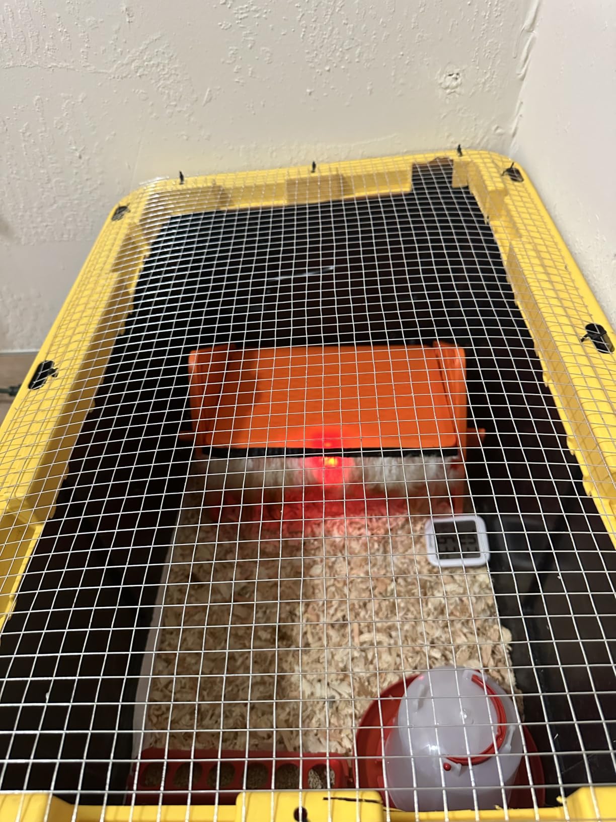 Chick Brooder Heater Plate for Baby Chicks, Ducklings & Poultry | 3-Level Adjustable Temperature Heating Plate, 8.67 x 10.63 Inches, Yellow Poultry Brooder Warmer customer photo 1