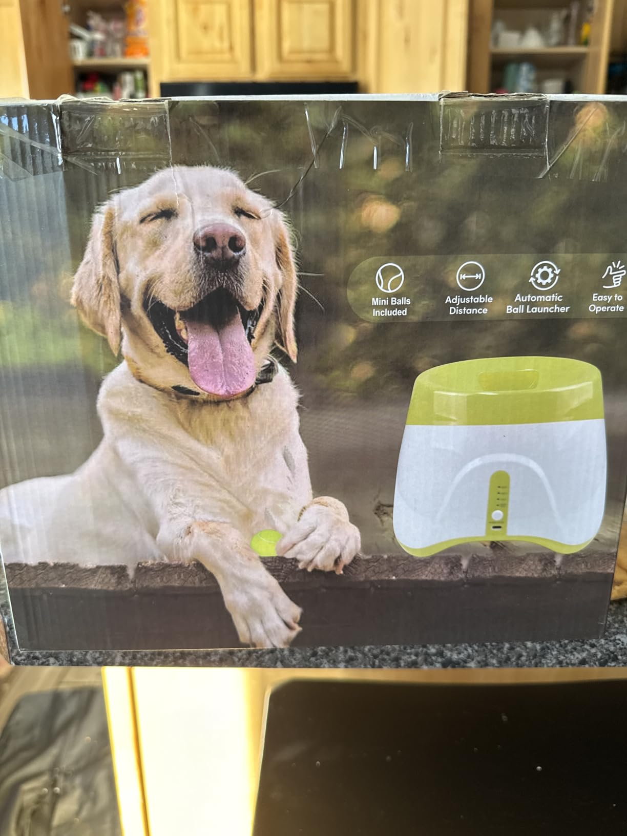Automatic Ball Launcher for Dogs: Indoor Thrower Fetch Machine,Blue customer photo 2