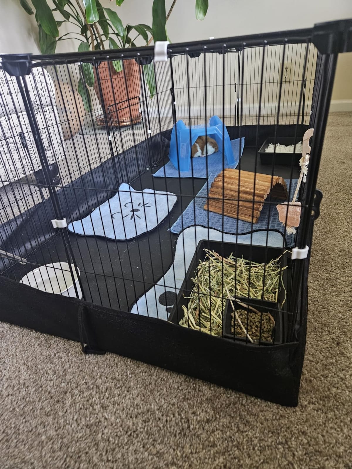 Guinea Pig Cages DIY Small Animal Playpen with Waterproof Liner, Expandable Cage for Guinea Pigs, Metal Wire Yard Fence Rabbit Cage customer photo 1