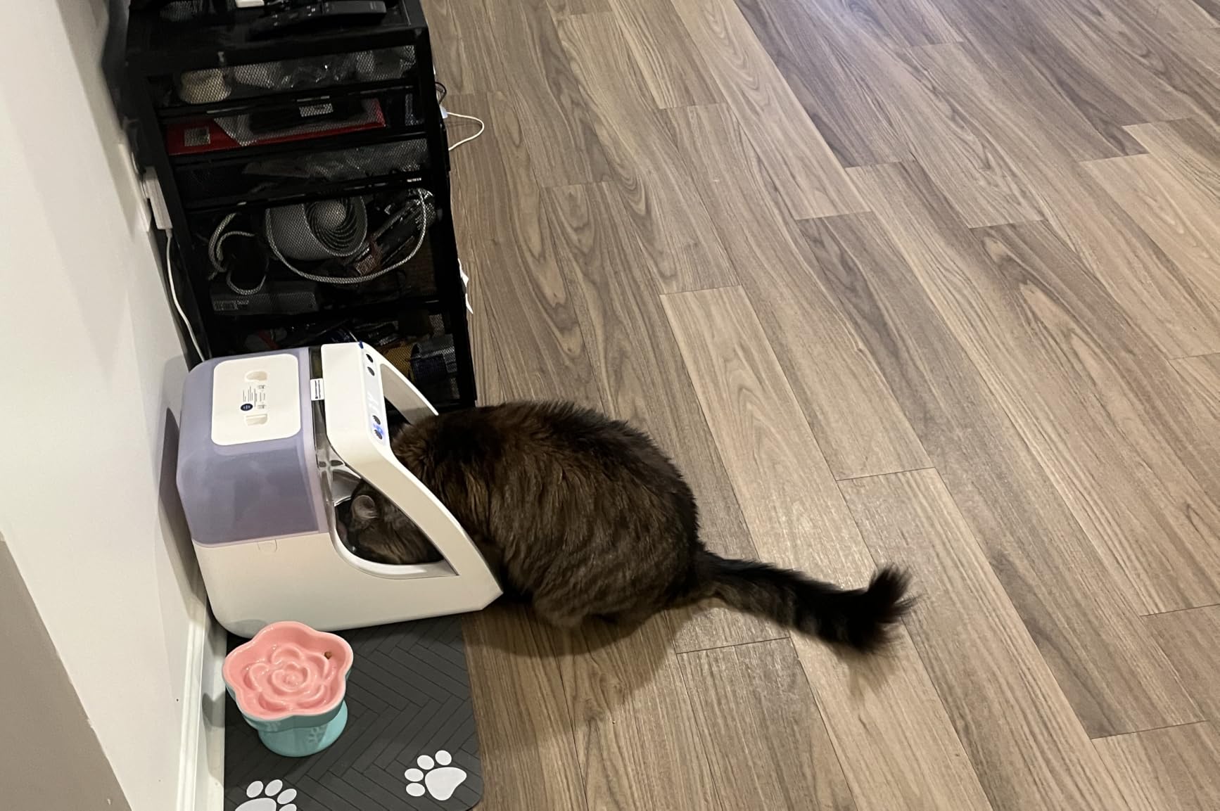 PawsPik Automatic Microchip RFID Cat Feeder, 16-Cup, White customer photo 2