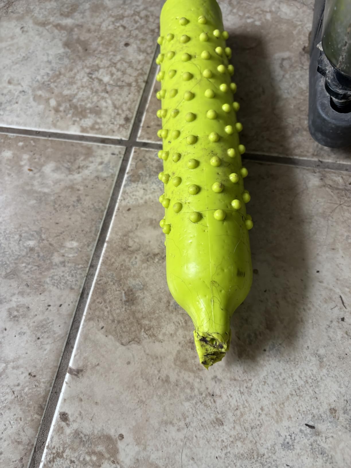 BINGPET Dog Float Bumper Toy, 10.8