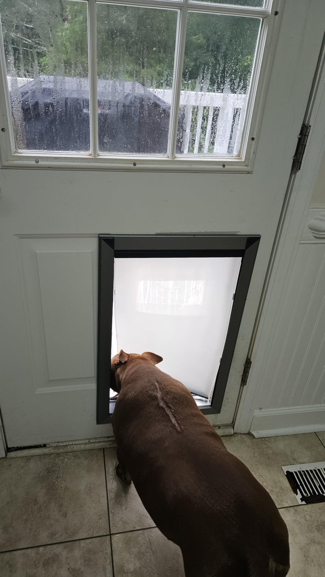 MAVRICFLEX Heavy Duty Dog Door for X-Large Dogs Up to 220LBS, Aluminum Frame Dog Door with Double Sliding Panel and 2 Soft Flaps, Easy to Install, Extra-Large, Black customer photo 2