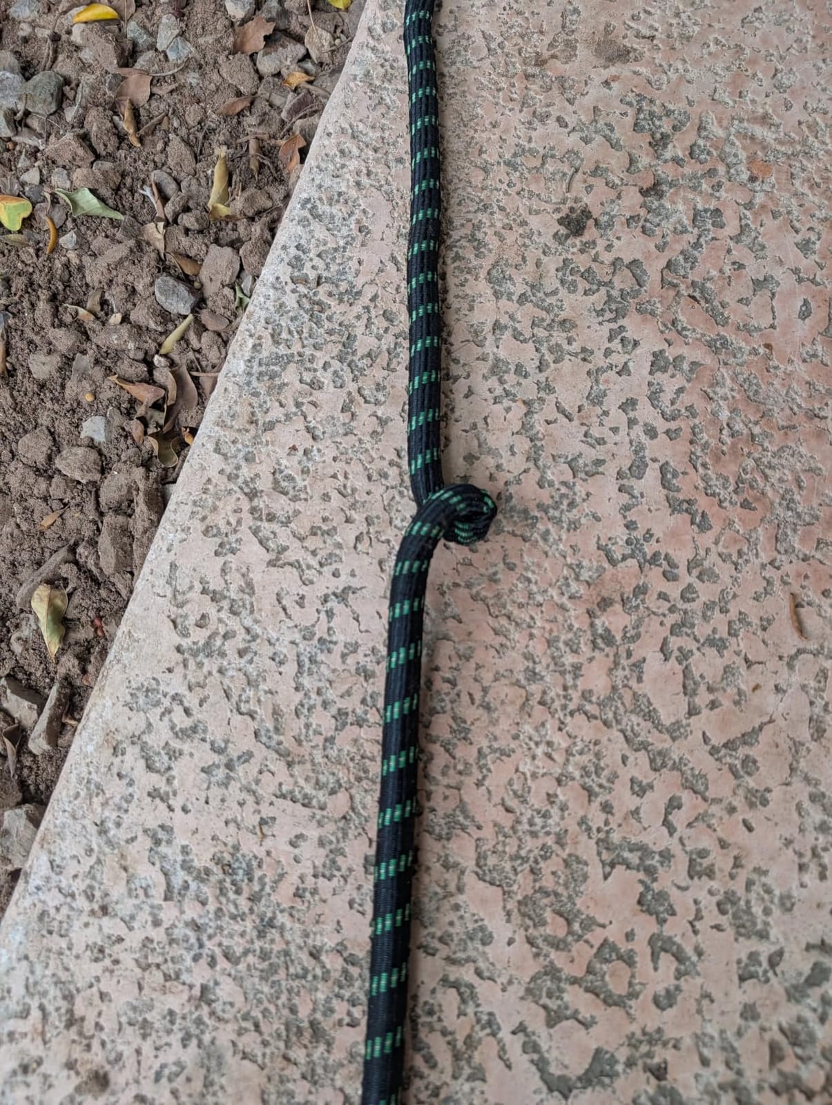Pocket Hose Ballistic Double UV 50 FT Expandable Garden Hose, Pocket Pivot customer photo 1