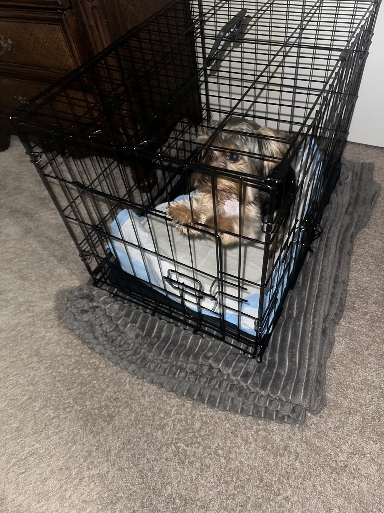 Sweetcrispy 36 Inch Dog Crate, Medium Dog Cage, Foldable Puppy Pet Kennel customer photo 1