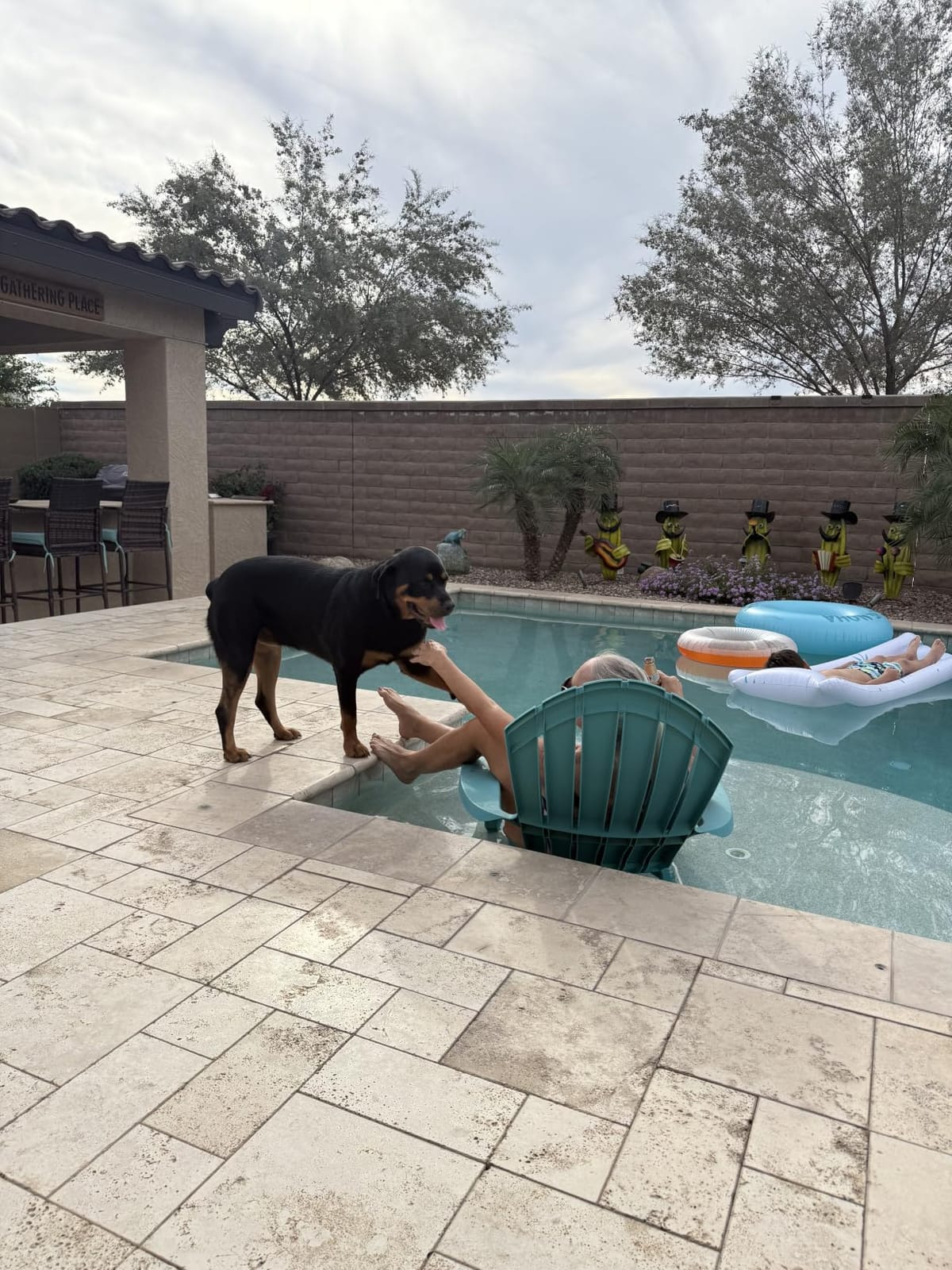 Cordless Pool Vacuum with Telescopic Pole, 18.5 GPM Powerful Suction, 1.5H Supercharge Technology, Handheld Pool Vacuum Cleaner for Above Ground/Inground Pools, Hot Tubs, Blue customer photo 2