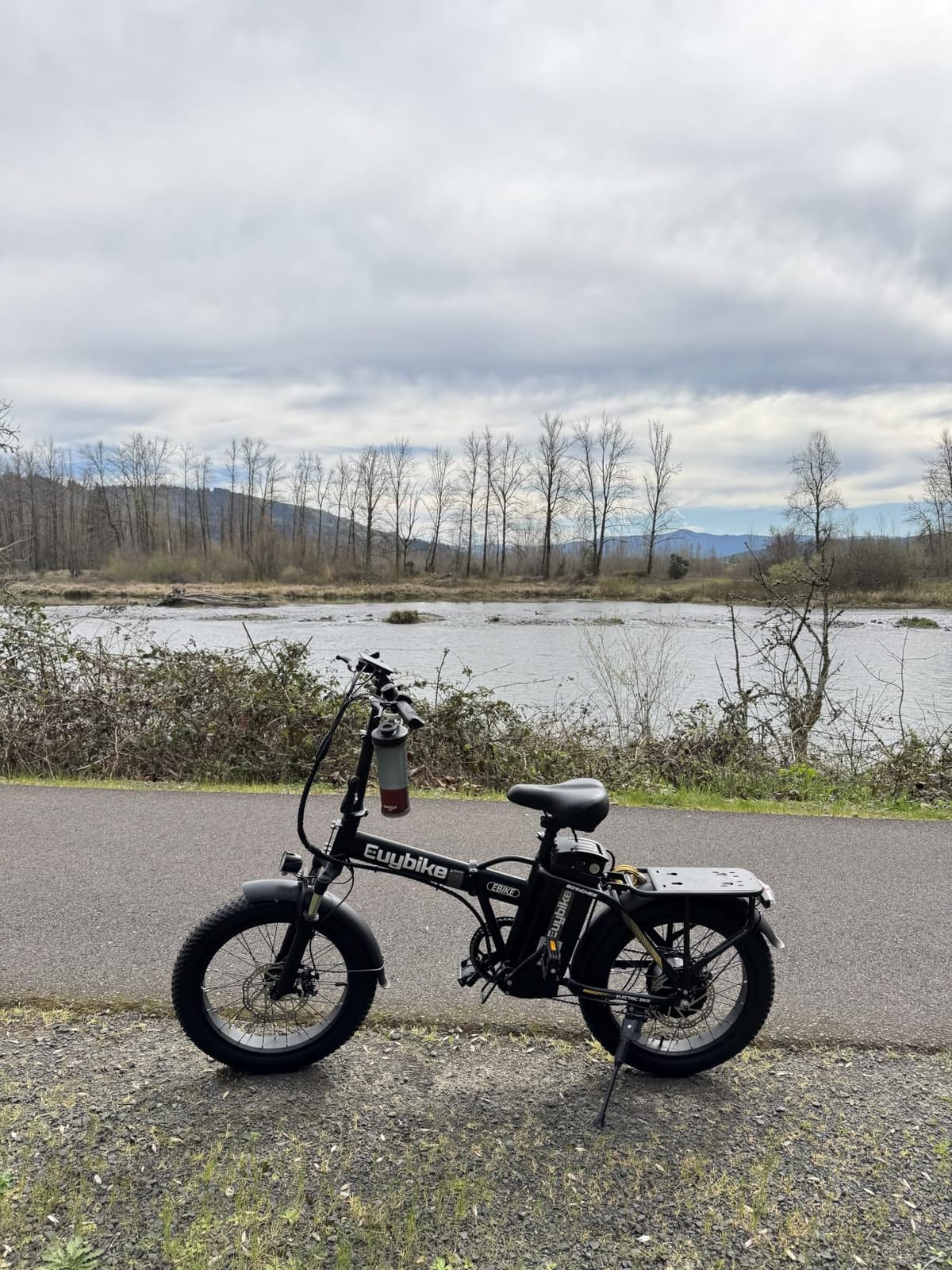 Foldable Electric Bike for Adults, 48V 20Ah Removable Lithium Battery up to 80Miles, 20