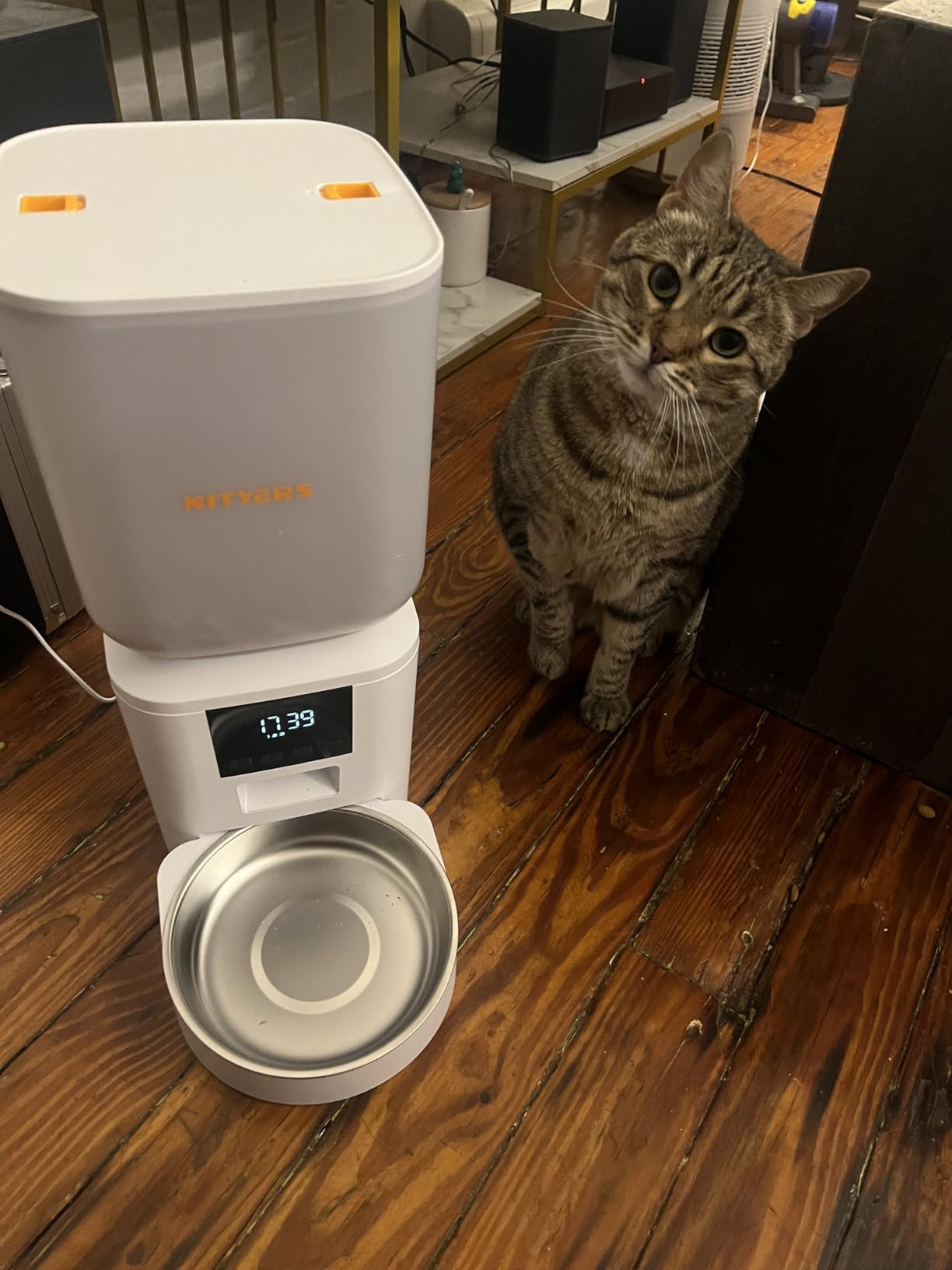 Automatic Dog Feeder - 8L/34 Cups Large Capacity Automatic Cat Food Dispenser with LCD Screen, Large Food Tray, Battery Operated, Timed Cat Feeder, Up to 50 Portions 6 Meals Per Day, Keeps Fresh customer photo 2