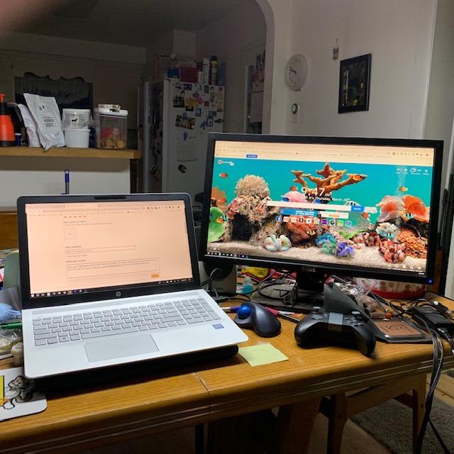 HP 15.6