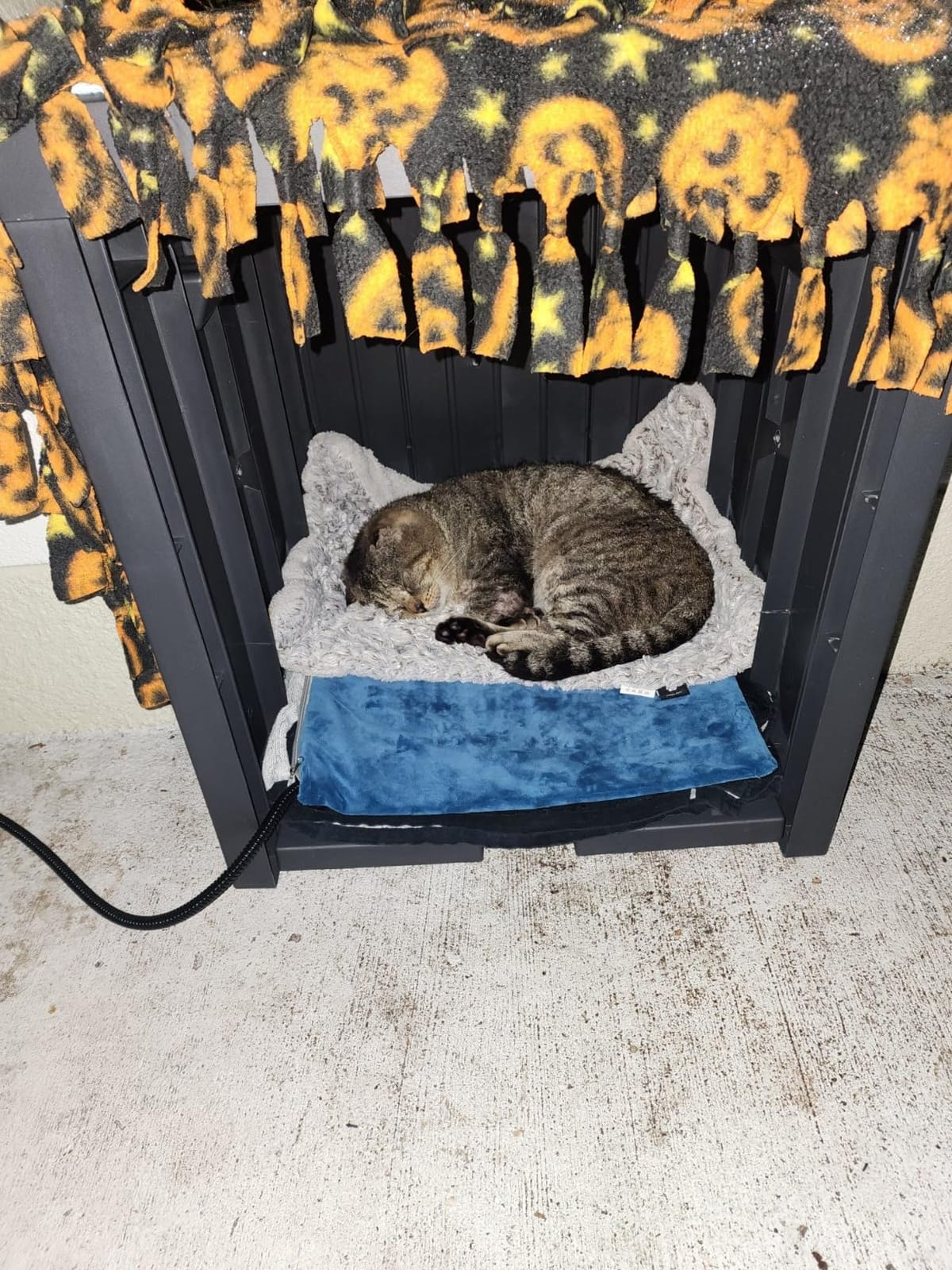 Pet Heating Pad for Cats Dogs 17.7x17.7 Electric Heated Cat Bed Dog Mat Warmer with Auto-Power Off Chew Resistant Temp Adjustable Indoor Outdoor Waterproof Cat Warming Pad (Blue) customer photo 2