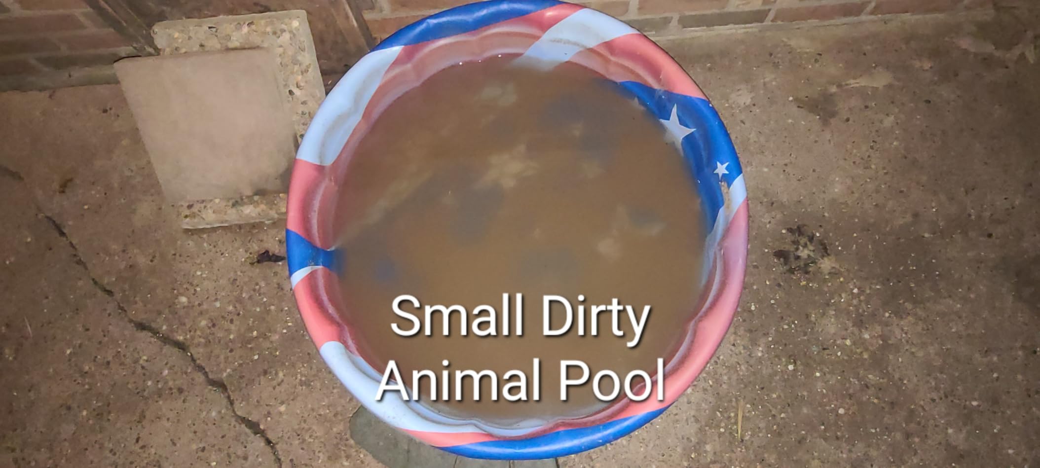 S2 Pool Vacuum Robot for Above Ground Pools, 90-Min Runtime, 861 Sq.Ft Coverage, Cordless Operation, Efficient Cleaning Performance, Dual-Layer Filtration, Panda Black customer photo 2
