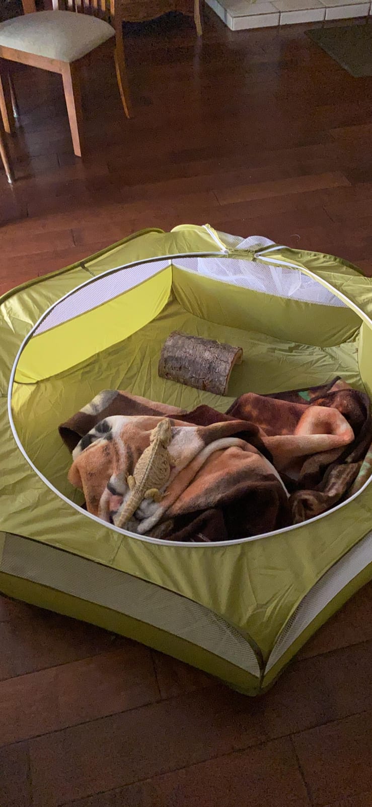 VavoPaw Small Animal Playpen, Chicken Brooder Box with Cover Top, Black customer photo 1