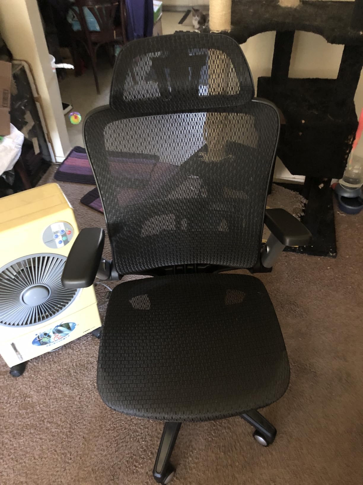 COLAMY Office Chair for Long Hours, Easy Wire-Control Desk Chair with Sliding Seat Depth & Thick Padded Lumbar Support, Heavy Duty 300 LBS High Back Mesh Computer Chair for Home Workstation, Brown customer photo 1
