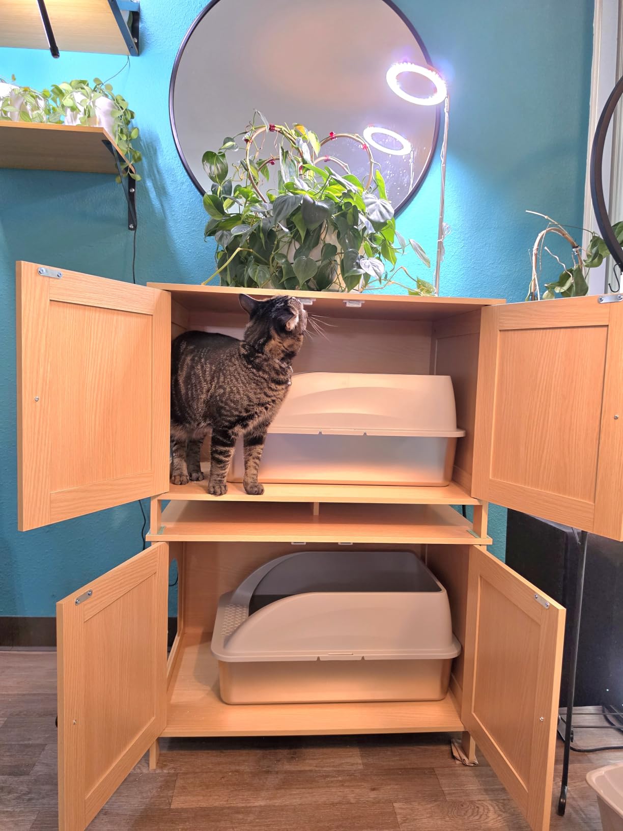 Self Cleaning Automatic Litter Box for Cats to15lb,15.5