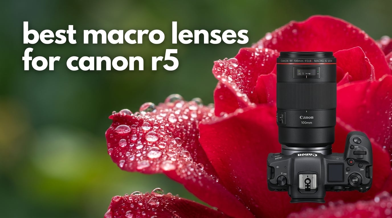 best macro lenses for canon r5