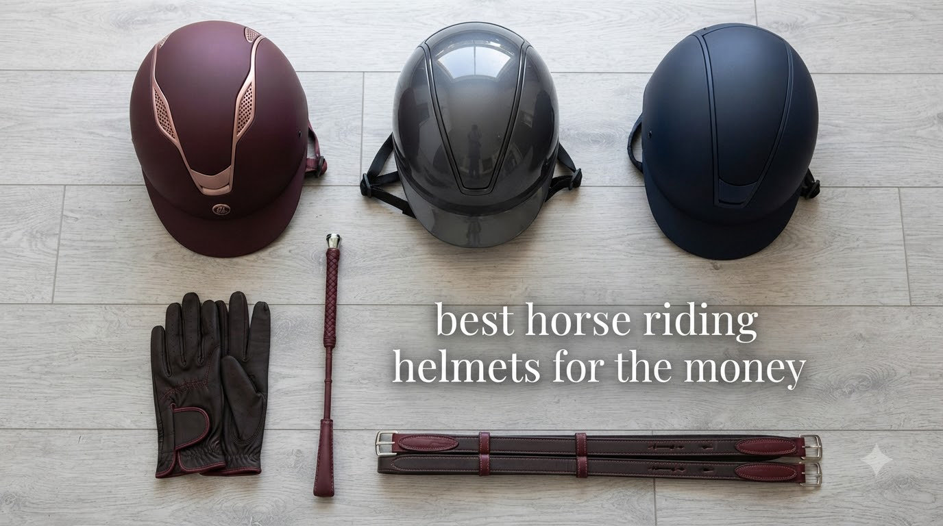 best horse riding helmets for the money