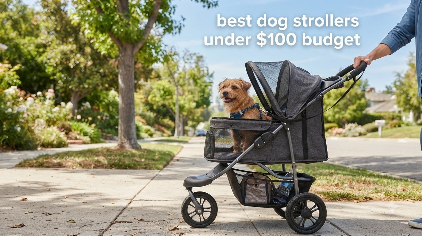 best dog strollers under $100 budget