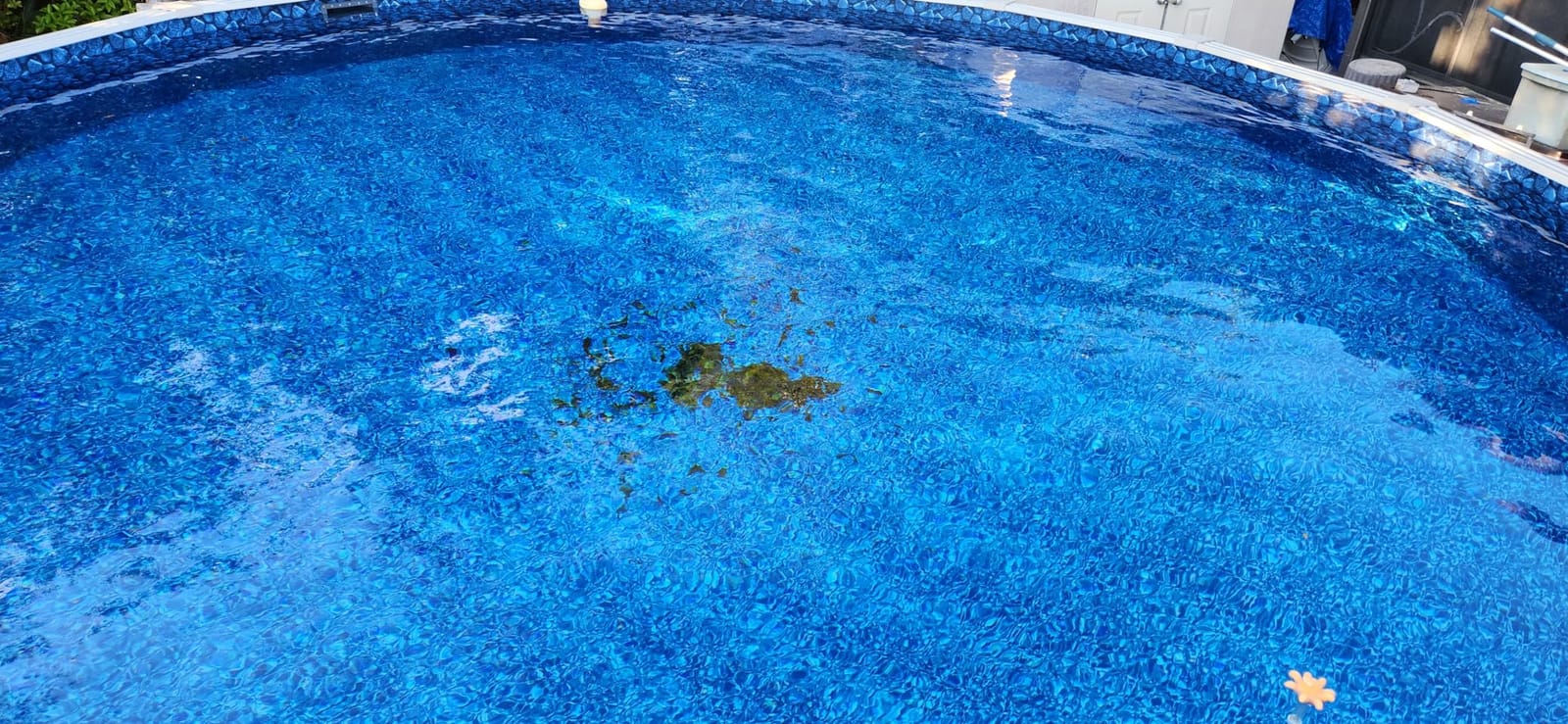 SWIMLINE | Venturi Leaf Bagger Pool Vacuum for Leaves and Debris customer photo 2