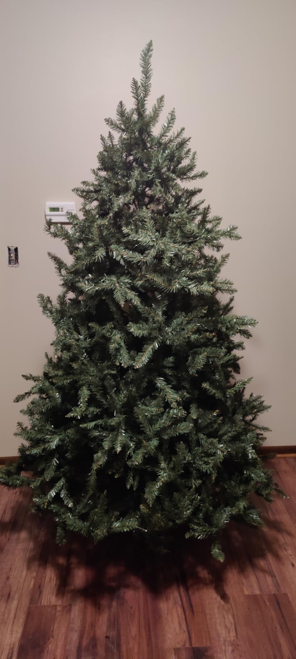 National Tree 9ft Dunhill Fir customer photo 1