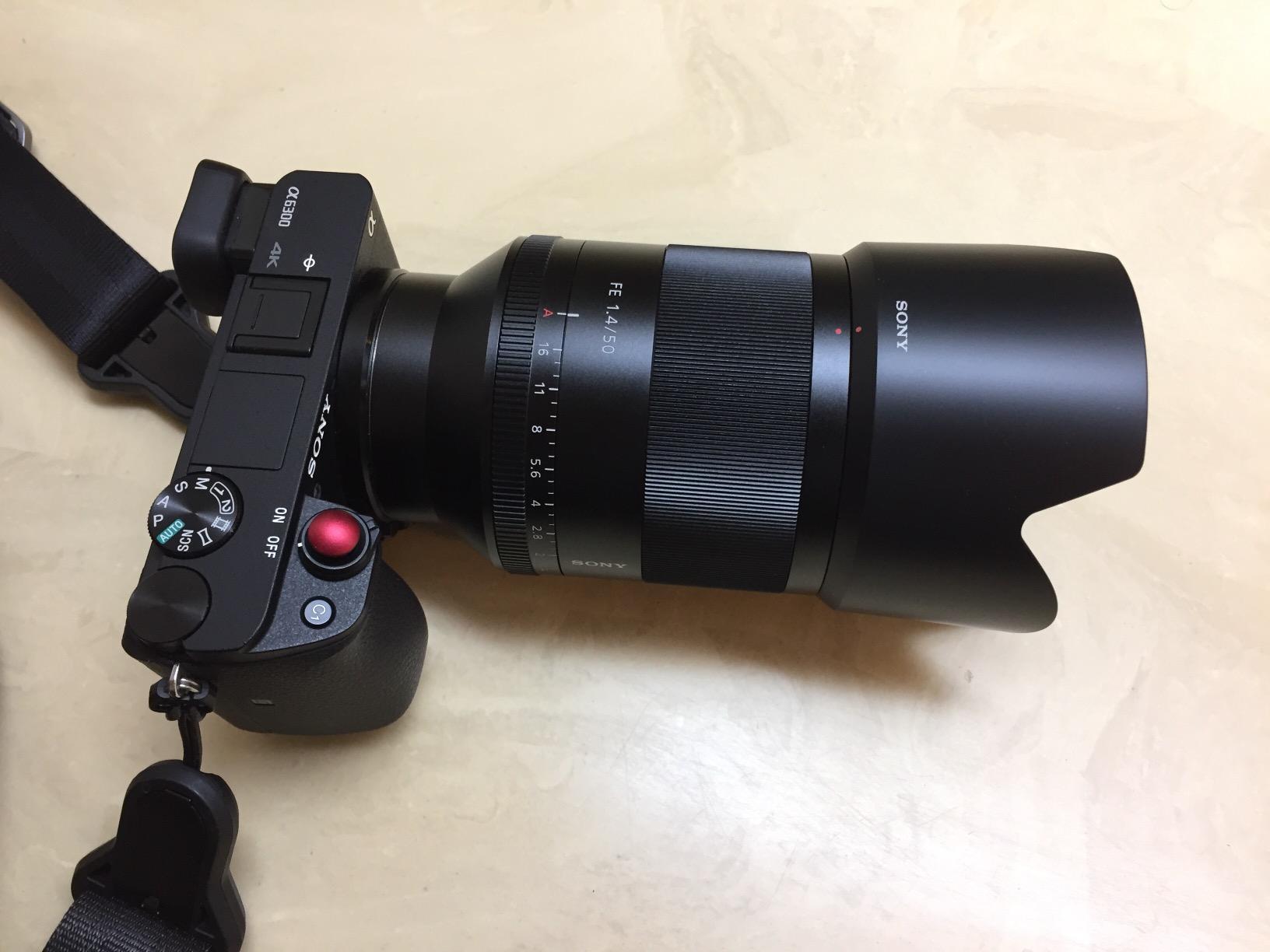 Sony SEL50F14Z Planar T* FE 50mm f/1.4 ZA Lens customer photo 2