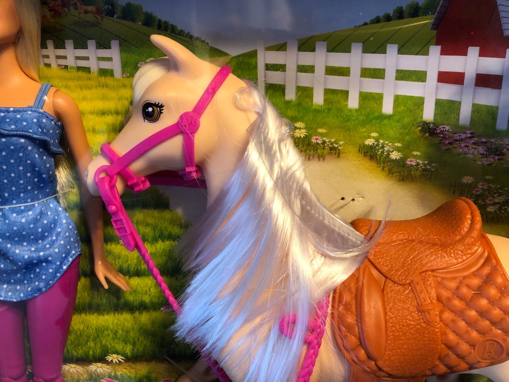 Barbie Playet with Blonde Fashion Doll in Riding Outfit customer photo 1