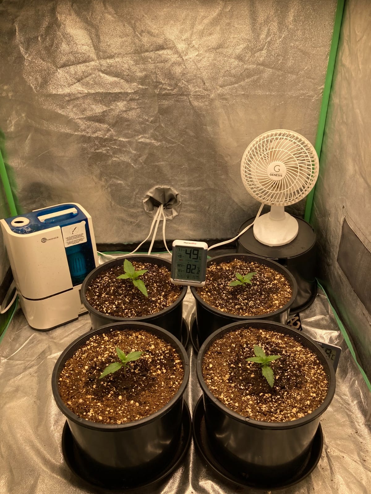 MARS HYDRO 300W TSL2000 Led Grow Lights for Indoor Plants customer photo 2