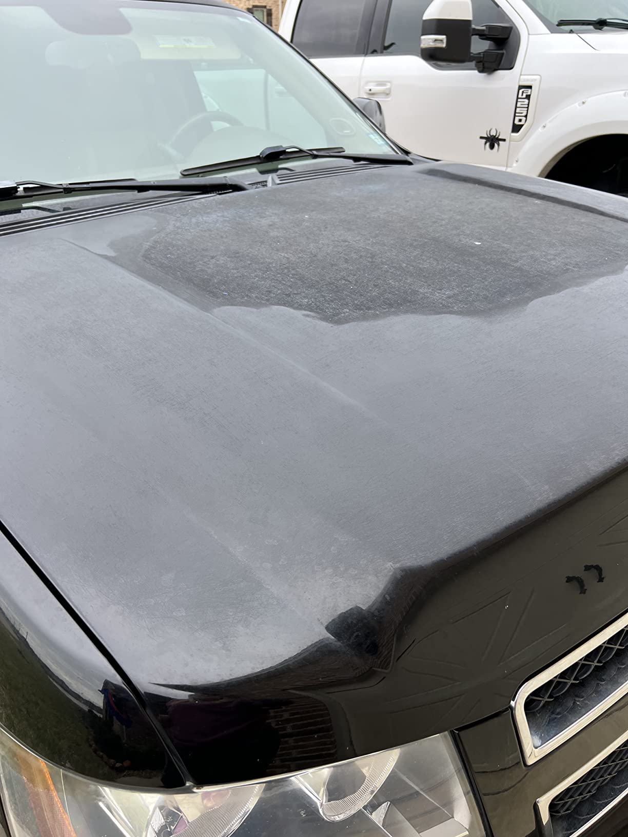 Car Wax for Dark Color Cars | Black, Charcoal, Midnight Blue | Liquid Depth & Sun Swirl Defender | 180g customer photo 1