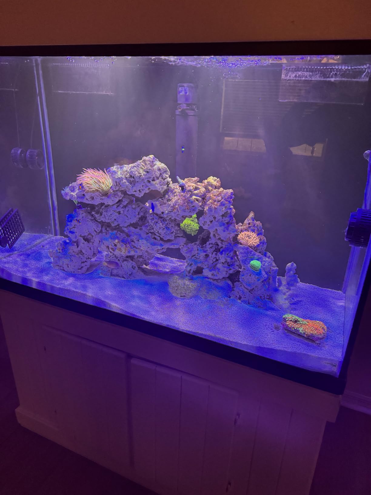 Aquatic Life Twist-in 4-Stage RO/DI Aquarium Filter, 75 GPD customer photo 1