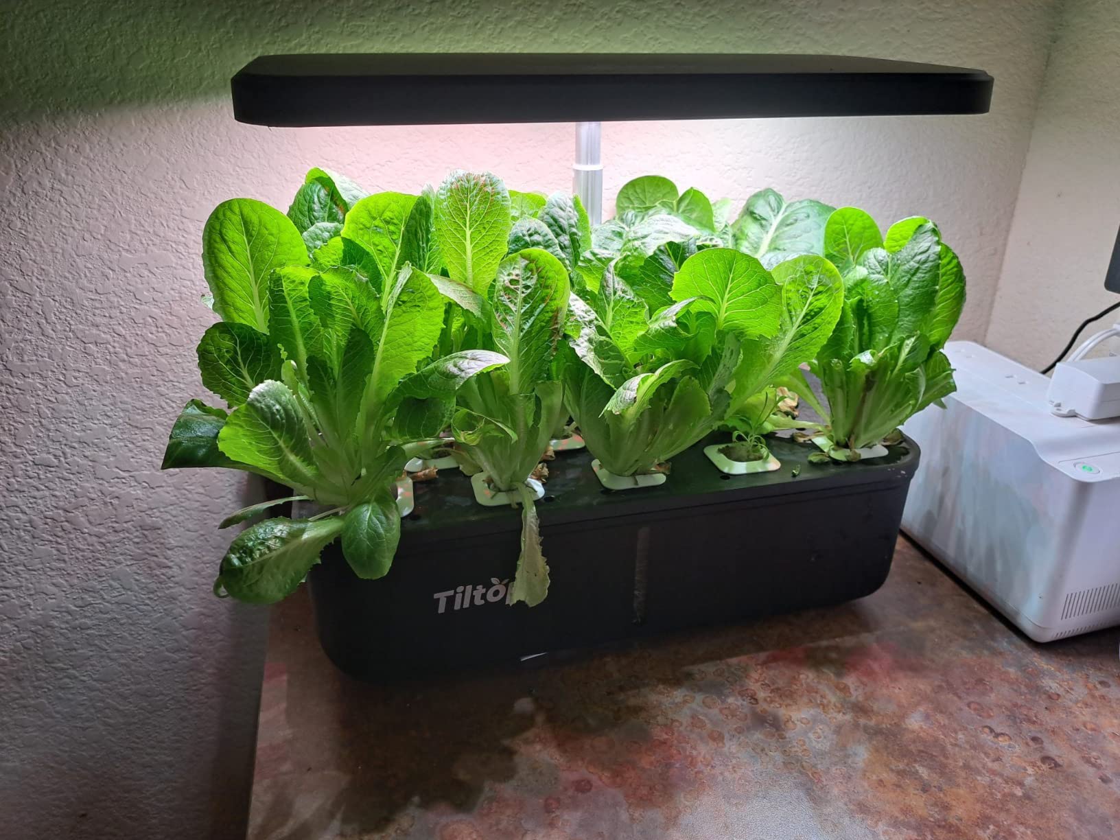 ENVY Hydroponic Plant Food A & B – Two-Part Liquid Nutrient for Indoor/Outdoor Plants – Soil, Coco, Hydroponics, DWC – Quart Set customer photo 2
