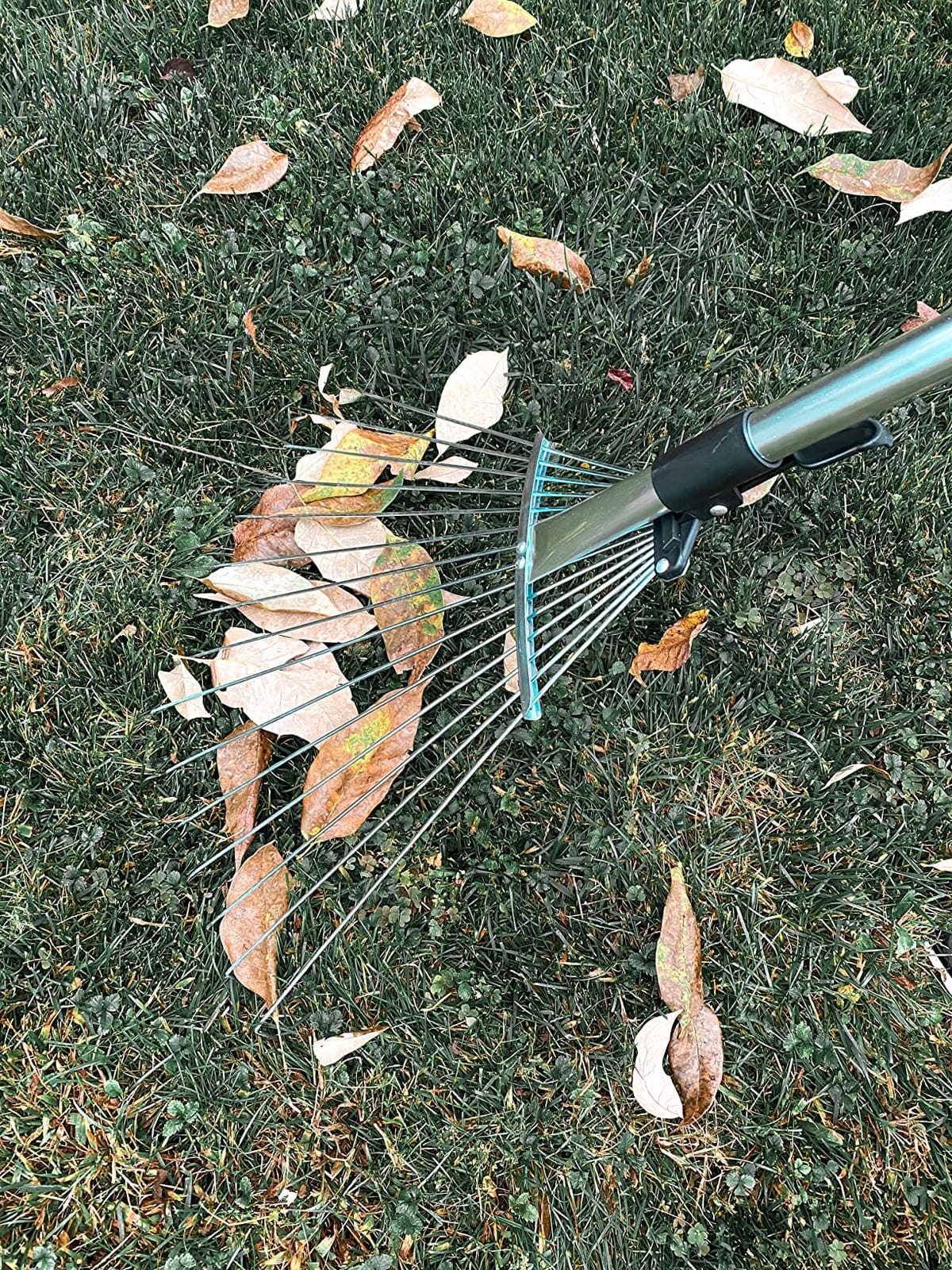 Buyplus Adjustable Garden Leaf Rake - 24 to 63 Inch Telescopic Metal Expandable Folding Leaves Rake, Metal Rake for Leaves, Yard Rakes for Lawn Yard, Flowers Beds, Black customer photo 2