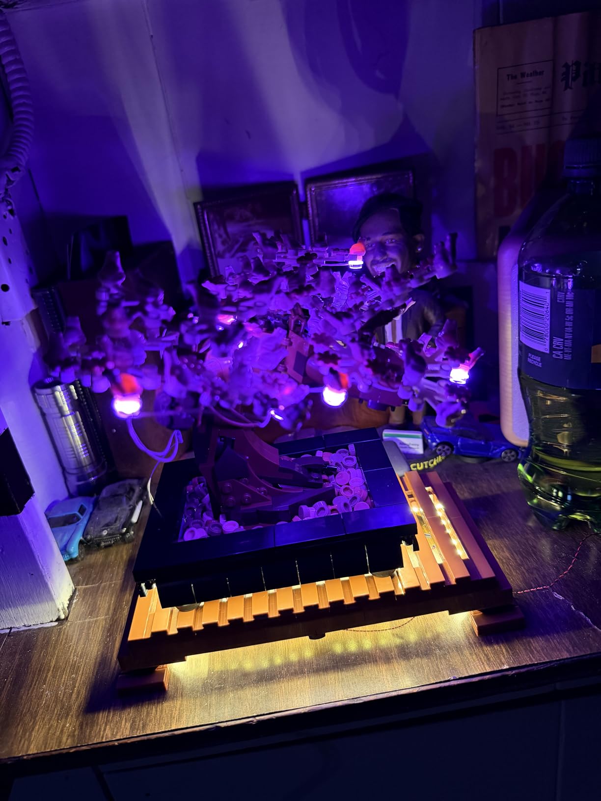 LEGO Botanicals Bonsai Tree customer photo 2