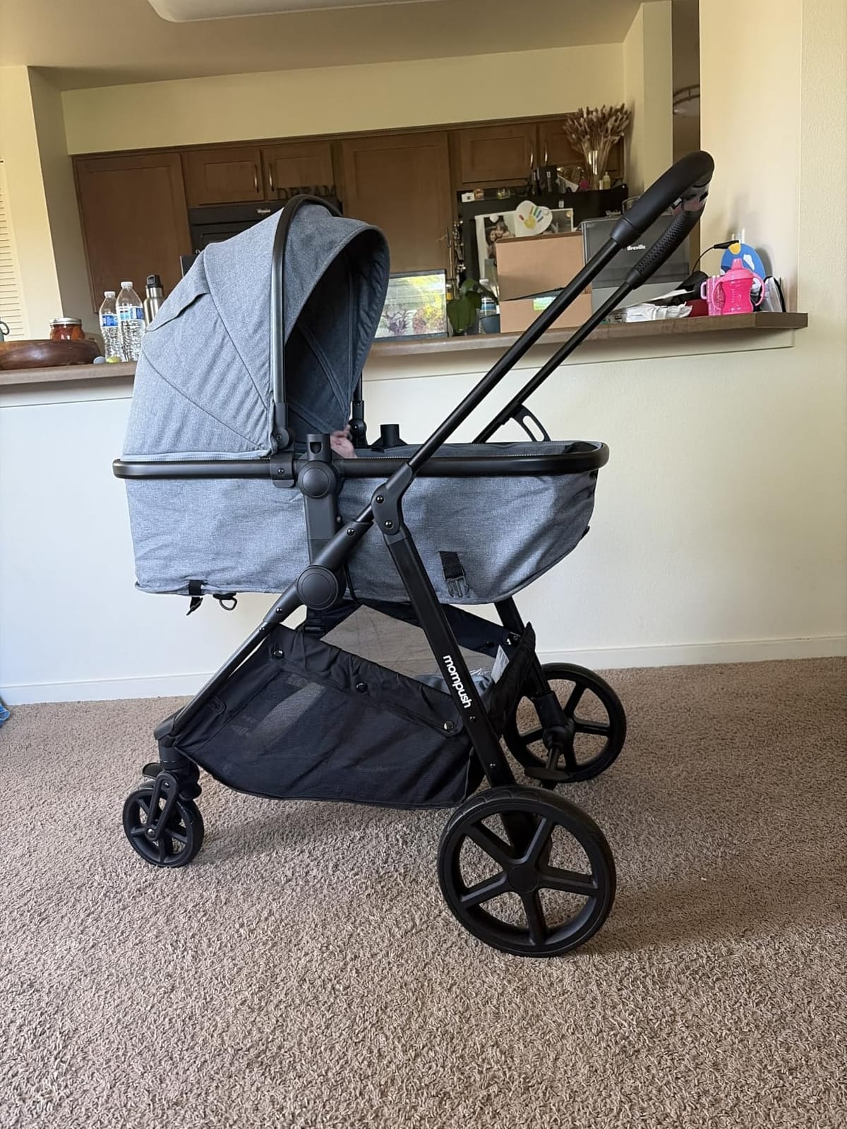 Mompush Wiz customer photo 2