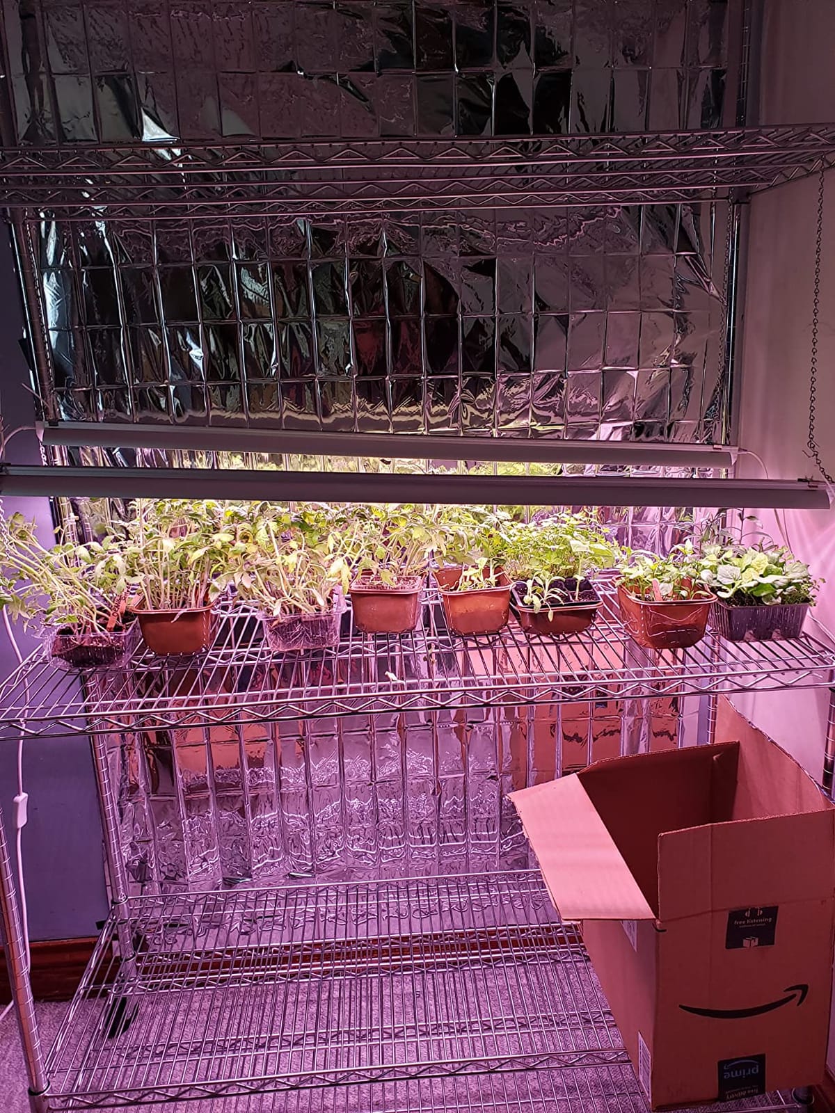 Grow Light, 2ft T8,100W(4 x 25W, 600W Equivalent), Super Bright, Full Spectrum Sunlight Plant Light, LED Grow Light Strips, Grow Lights for Indoor Plants,Greenhouse,4-Pack customer photo 1