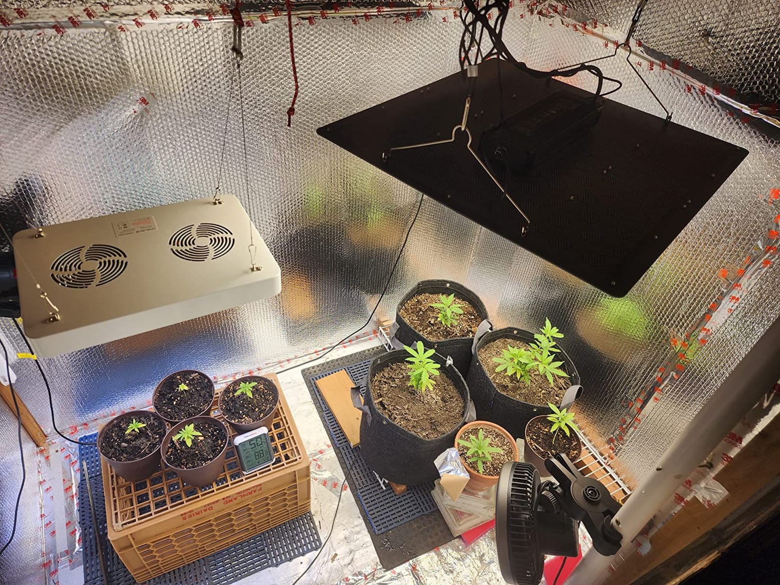 AC Infinity IONBOARD S24, LED Grow Light Board 2x4 with Dimming Control customer photo 1
