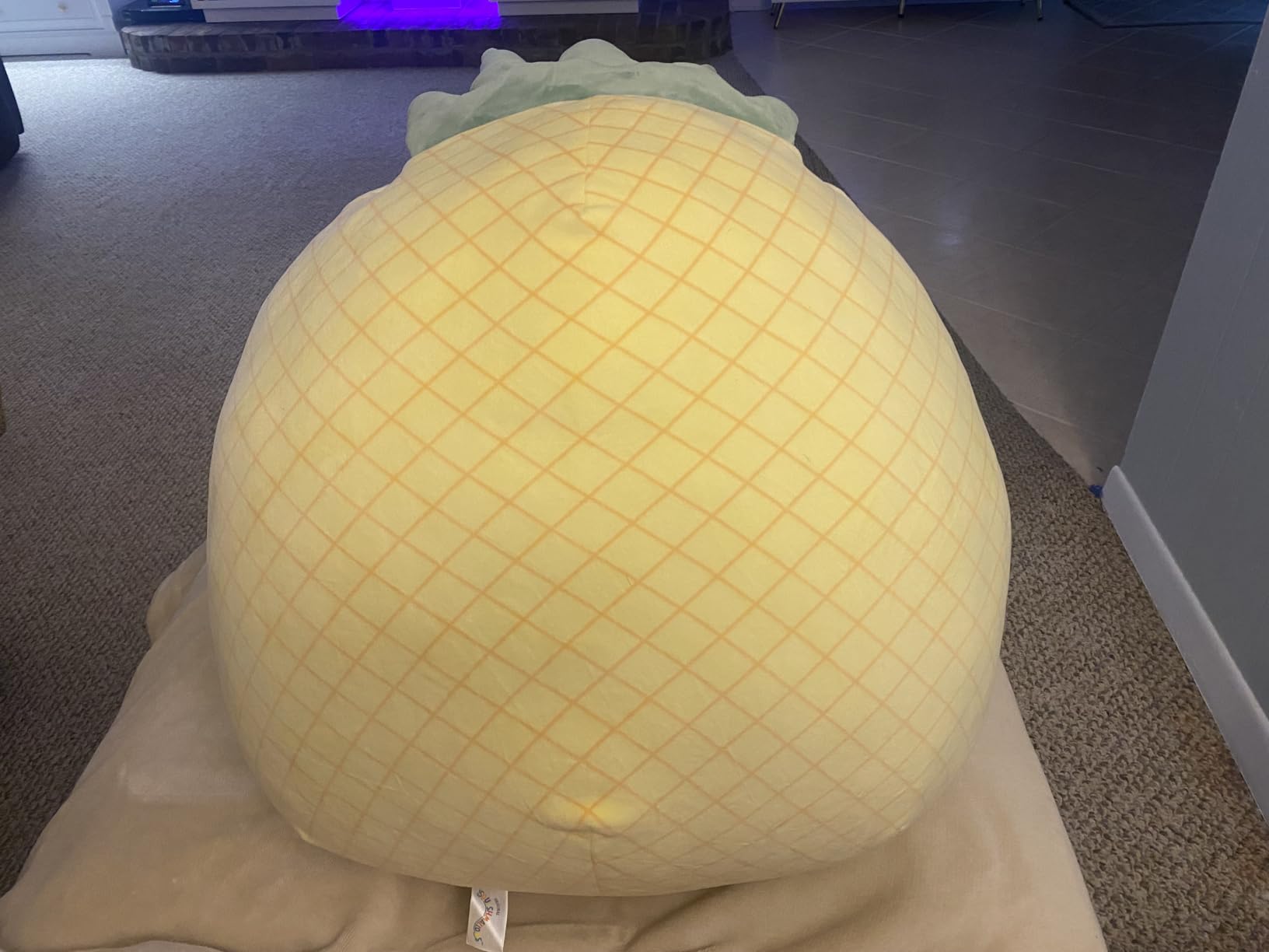 Maui Pineapple 20-Inch customer photo 1