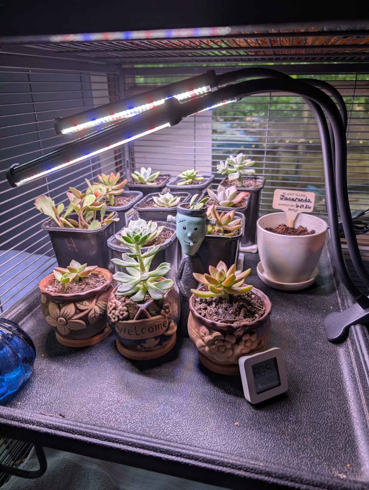 GooingTop Grow Light 100W 6000K, Super Bright White Desktop Clip Plant Lamp customer photo 1