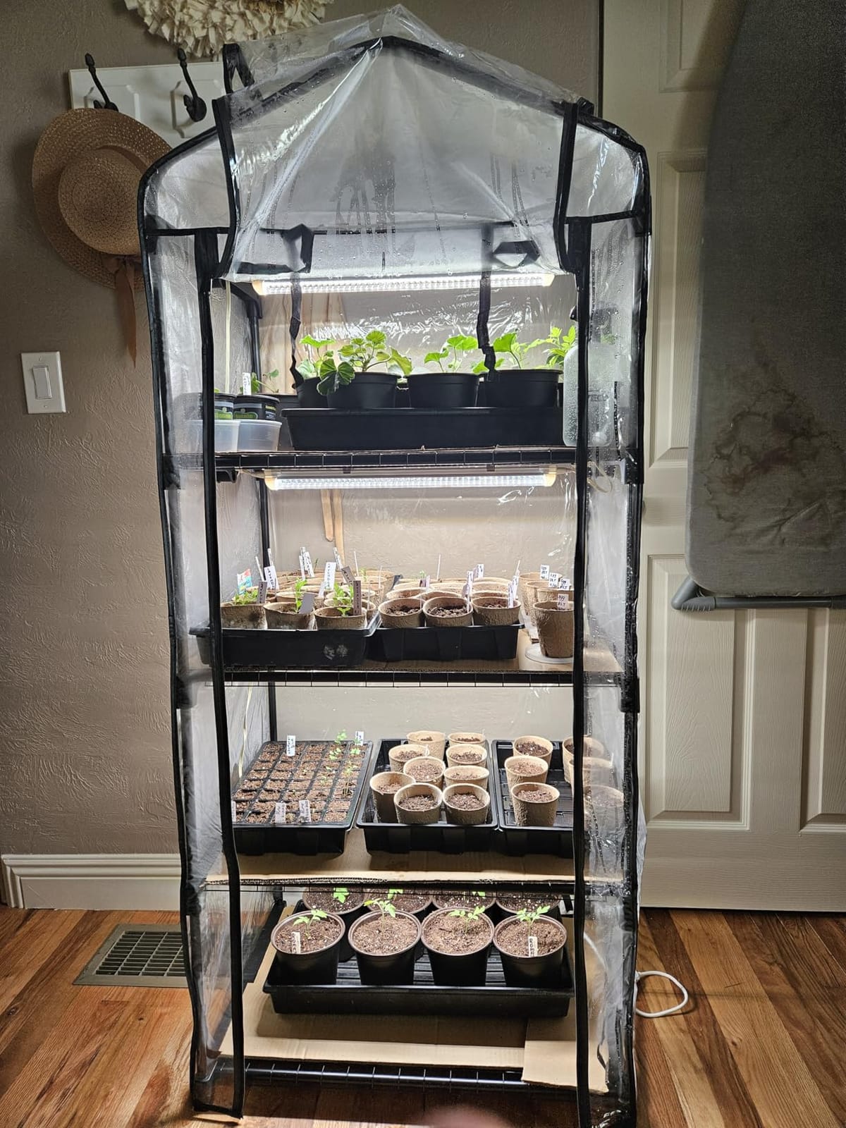 Bstrip Indoor Greenhouse with Grow Light, 4-Tier Mini Greenhouse Indoor customer photo 1
