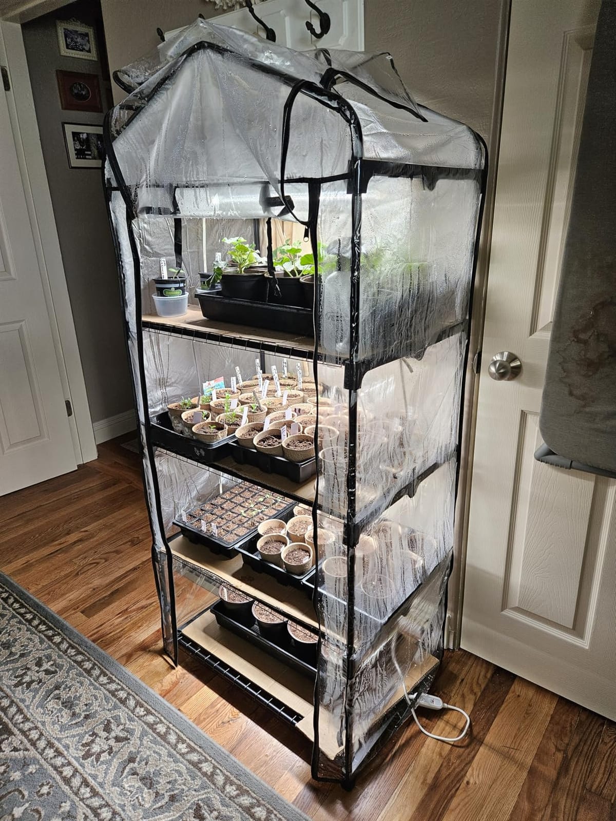 Bstrip Indoor Greenhouse with Grow Light, 4-Tier Mini Greenhouse Indoor customer photo 2