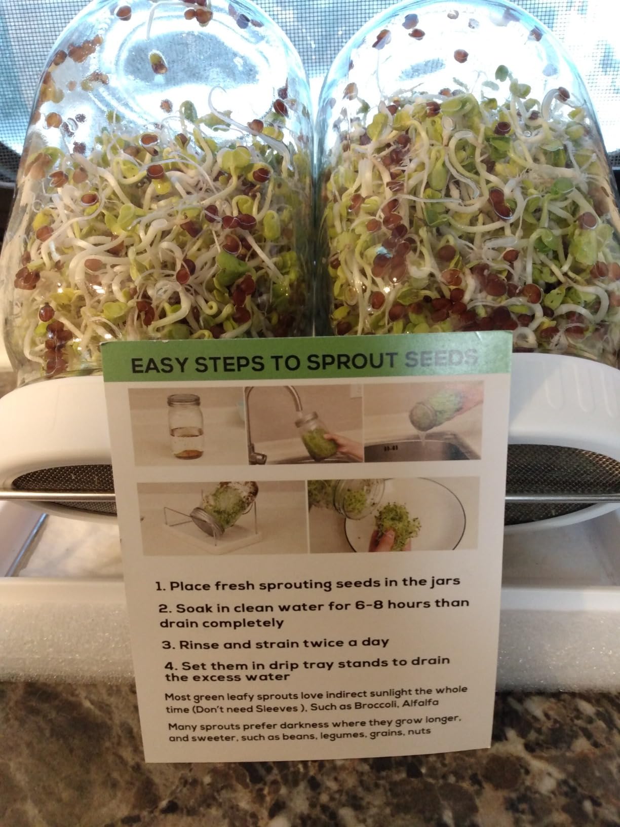 Complete Sprouting Jar Kit| 2 Wide Mouth Mason Jars, 316 Screen Sprout Lids, Blackout Sleeves, Tray, Stand| Sprouter Set for Growing Broccoli, Alfalfa and More-Seeds not Included customer photo 1