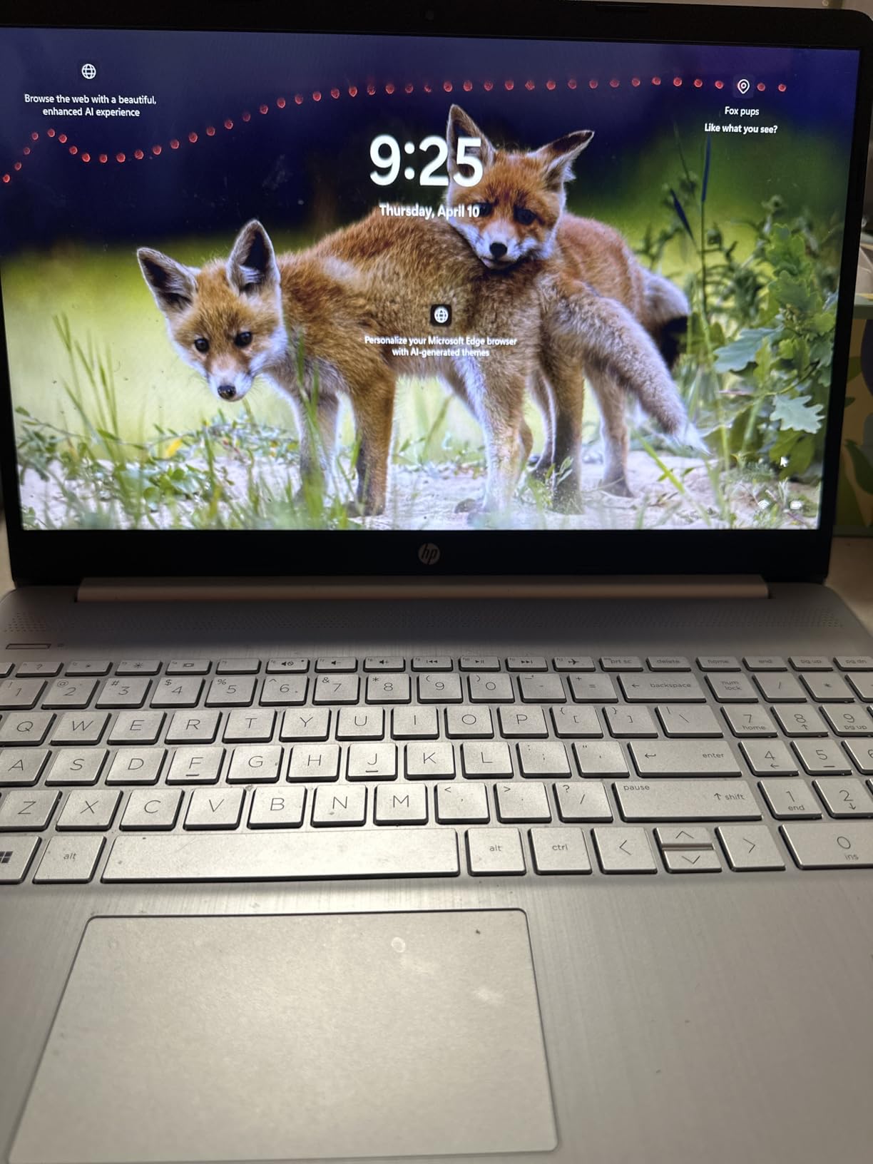 HP 15 Ryzen 5 customer photo 2