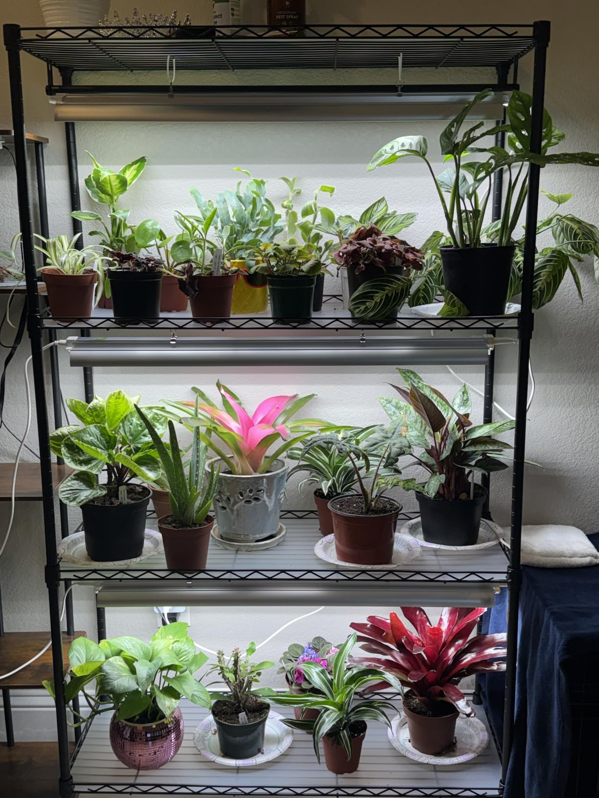 Barrina CX3 Plant Stand with Grow Light, 4-Tier, 108W, 35.4x13.8x70.9IN customer photo 1
