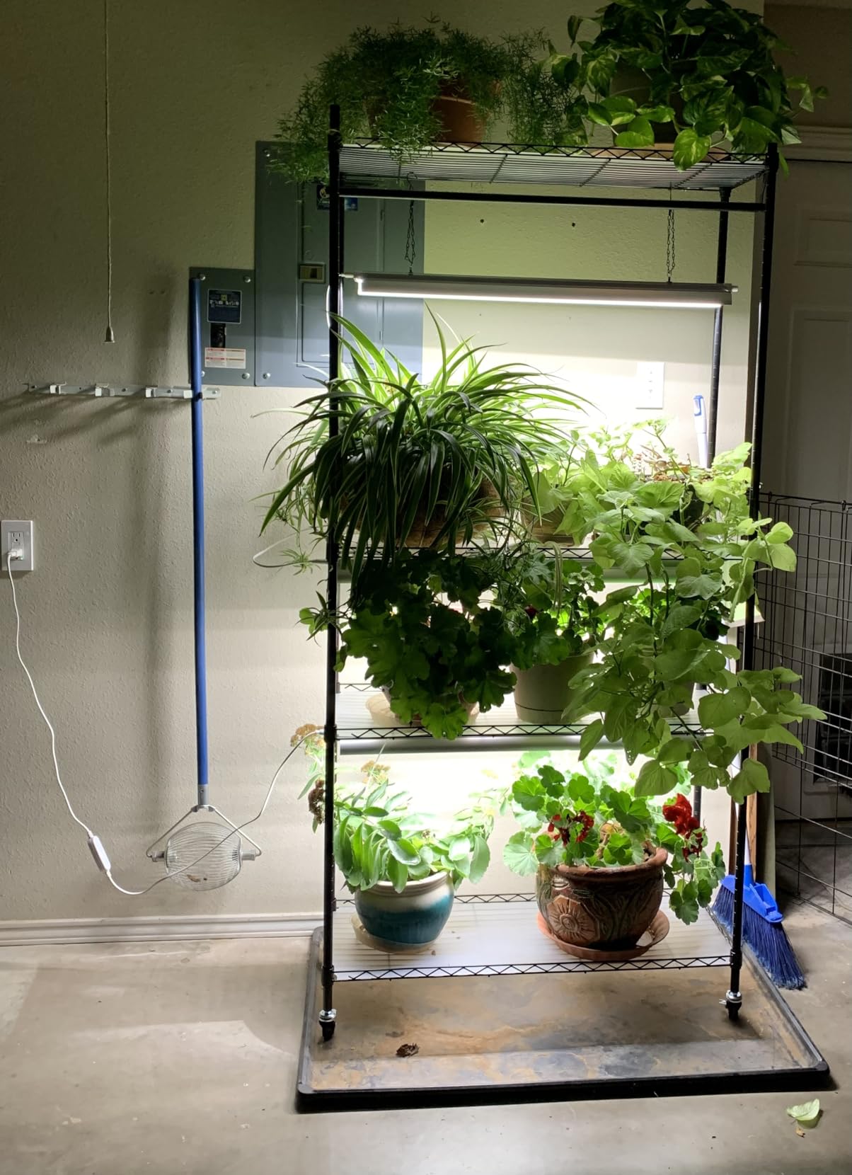 Barrina CX3 Plant Stand with Grow Light, 4-Tier, 108W, 35.4x13.8x70.9IN customer photo 2