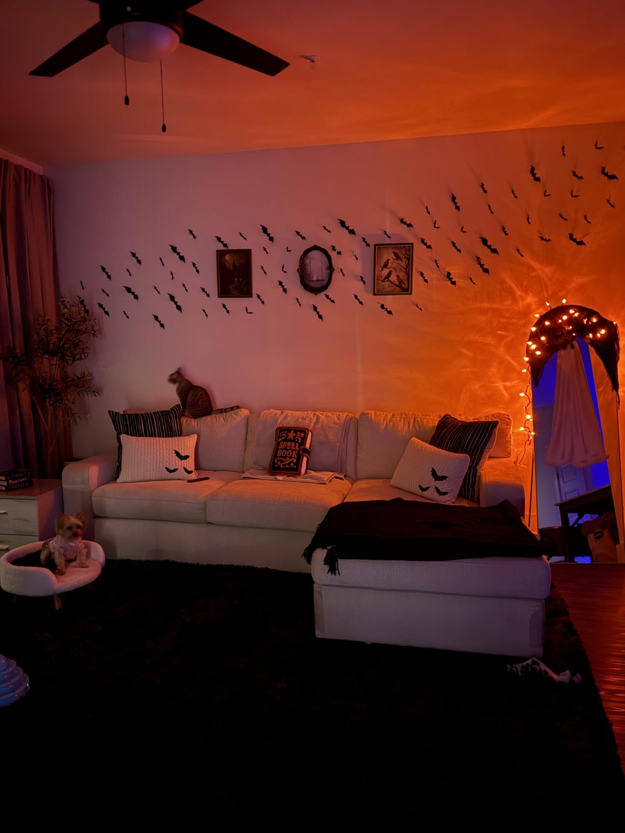 140Pcs 3D Bats Halloween Decorations Realistic PVC Wall Decor customer photo 1