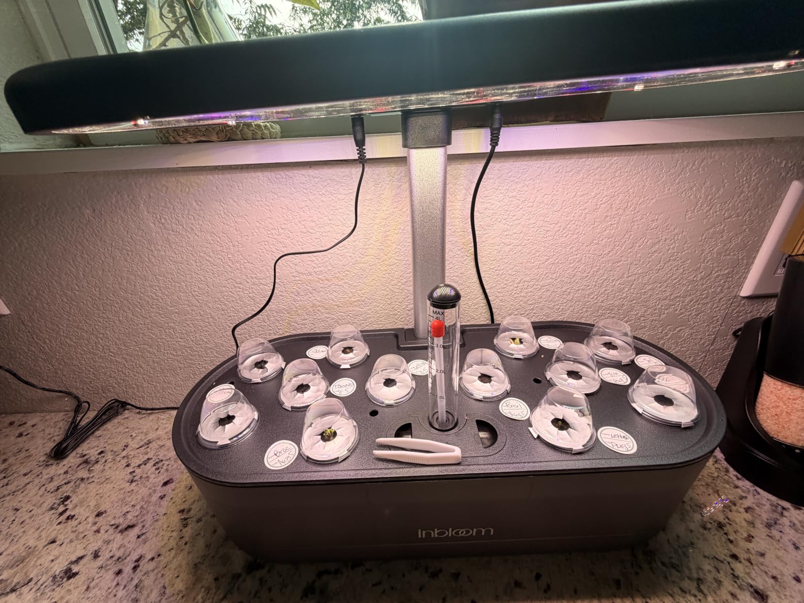 inbloom 12 Pods Hydroponics Growing System Kit, Herb Garden Planter Indoor Kit, Indoor Gardening Hydroponics Growing System with Pods, 4.2L Water Pump, Height Adjustable, Gifts for Woman, Black customer photo 2