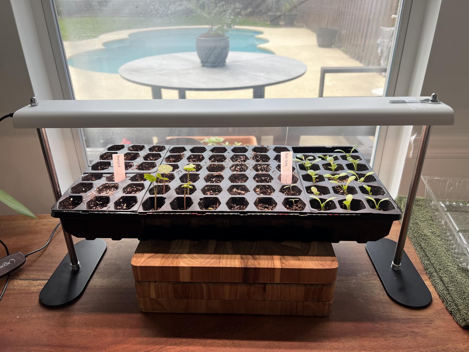 FOXGARDEN Grow Light Stand, Advanced LED Plant Growth Lighting with 4/8/12H Timer, 6 Dimming Options, and Adjustable Height - Optimal for Indoor Plants in Seedlings, Vegetative, and Flowering Phases customer photo 2
