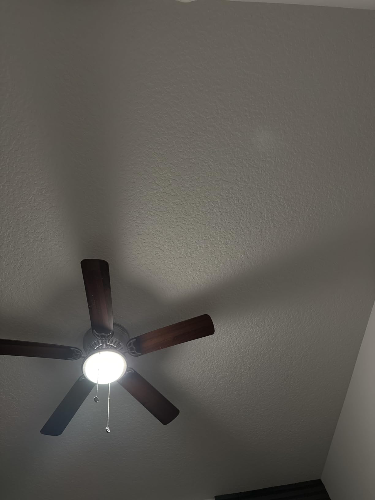 Tapo L531E customer photo 2