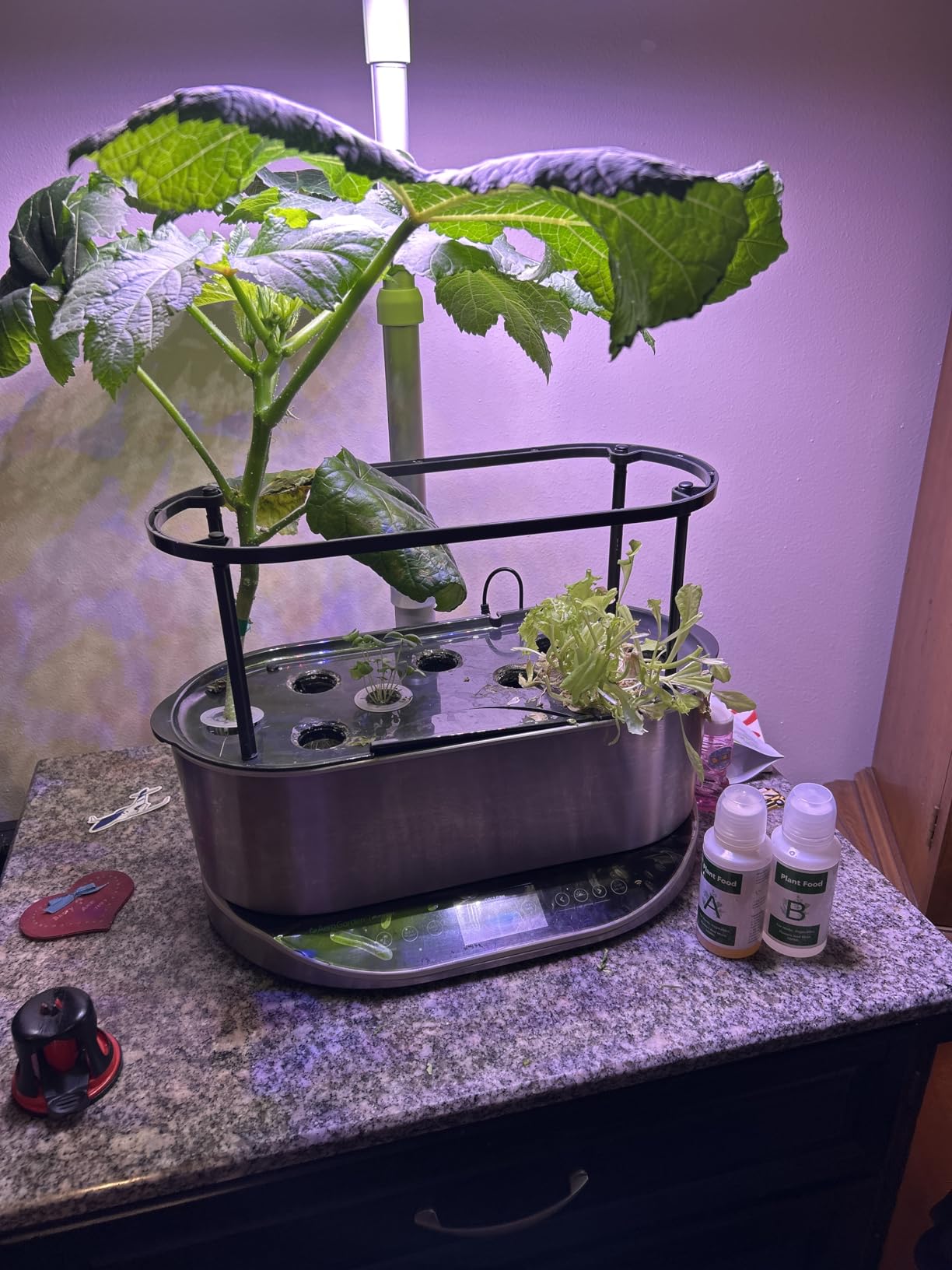 Tigvio 800ml Hydroponic Nutrients A&B for Aerogarden Plant Food Growth customer photo 1
